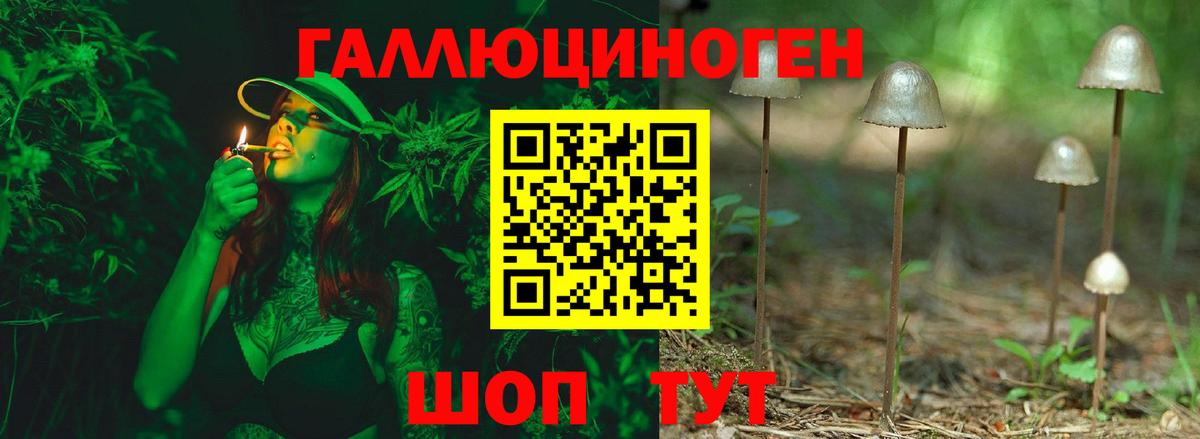Псилоцибиновые грибы Magic Shrooms  Вход с VPN  Знаменск 